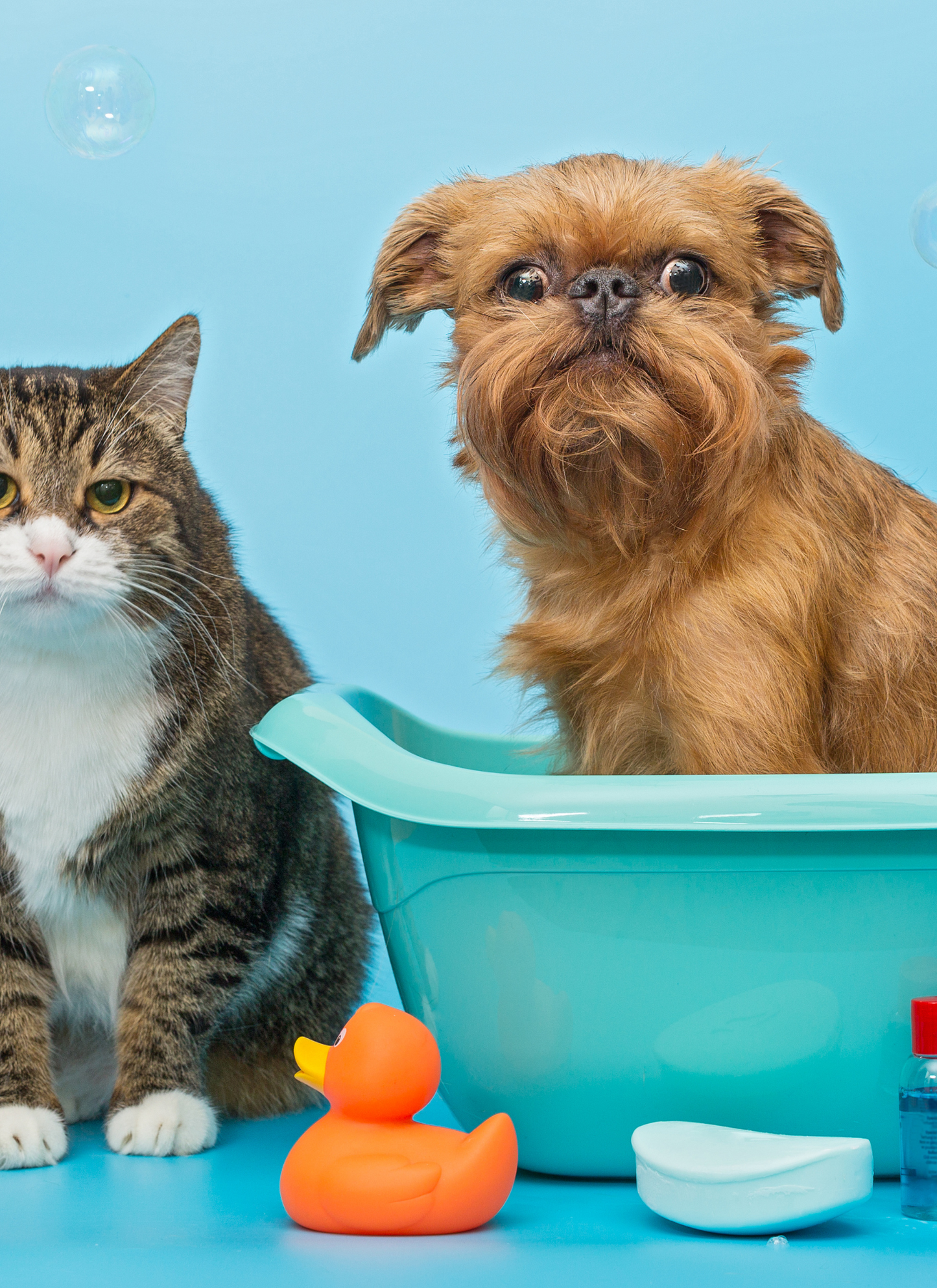 Bathtime Buddies – Paint by Numbers Kit
