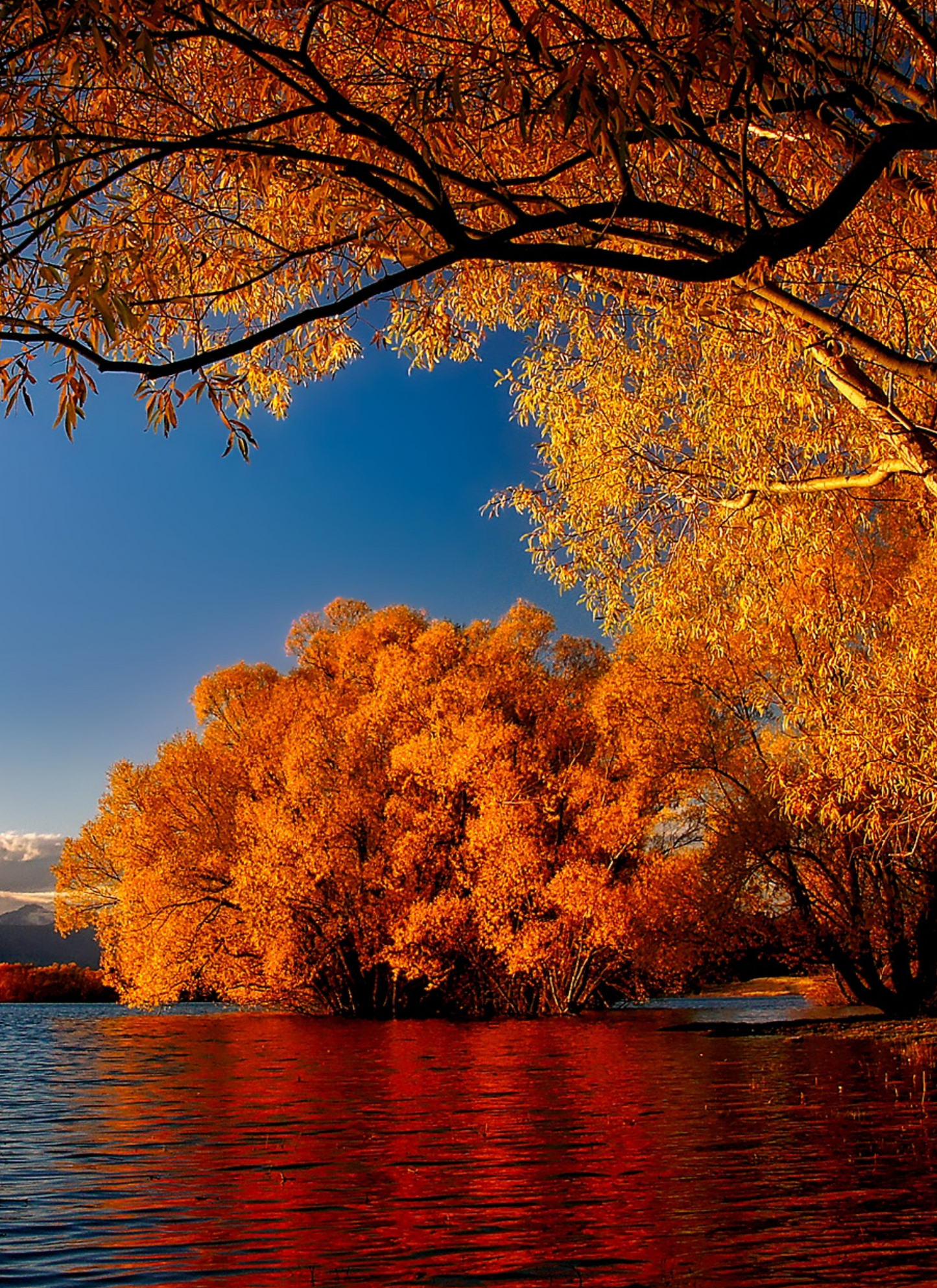 Golden Reflections - Paint by Numbers Kit