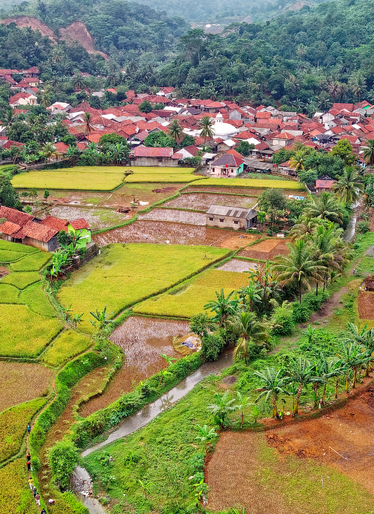Serene Village Vista - Paint by Numbers