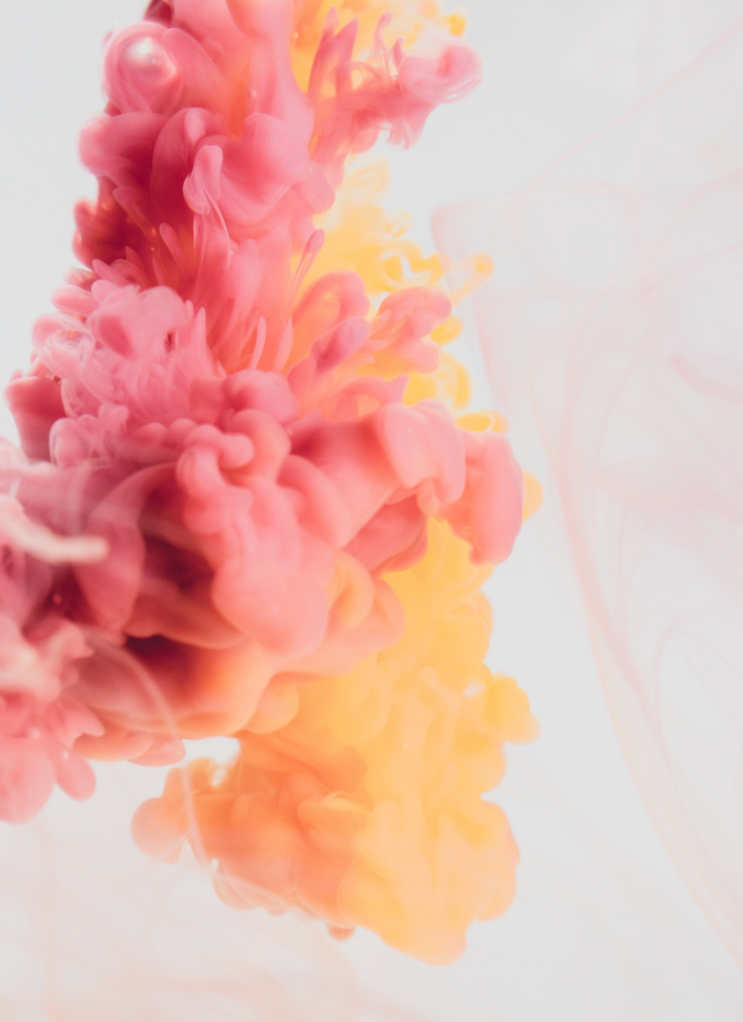 Floral Ink Swirl – Colorful Paint by Numbers Kit