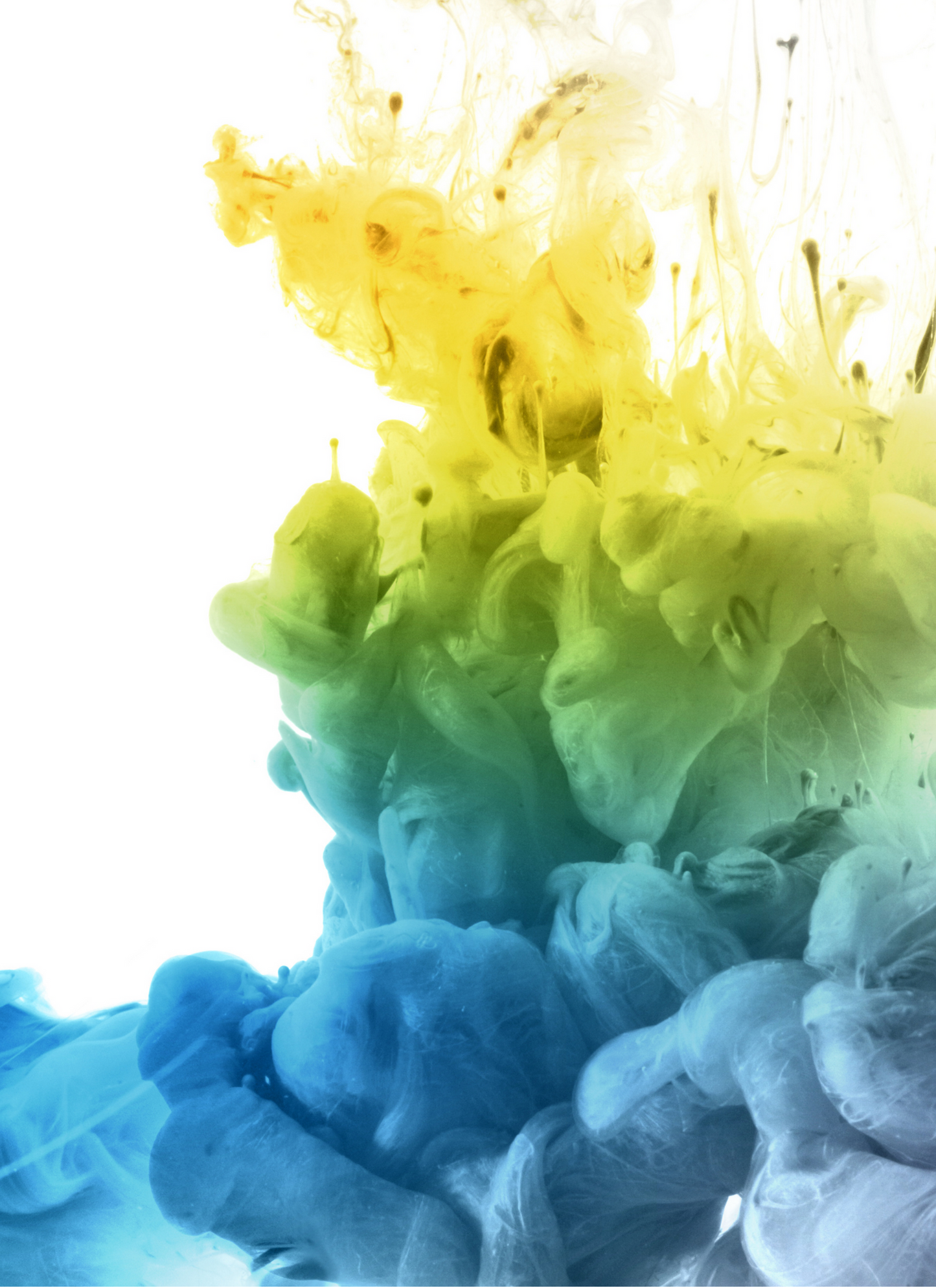 Color Bloom Fusion - Paint by Numbers Kit