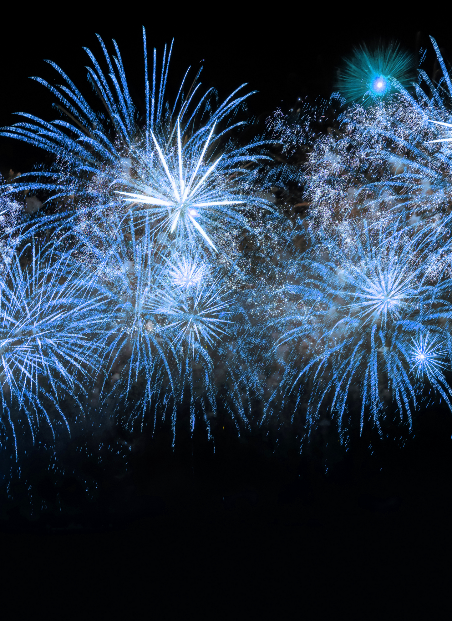 Midnight Fireworks Burst – Paint by Numbers Kit