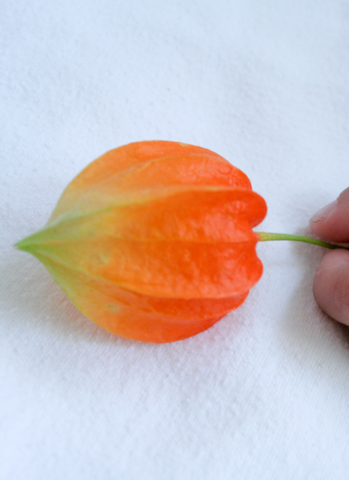 Lavender Dreams – Paint by Numbers Kit