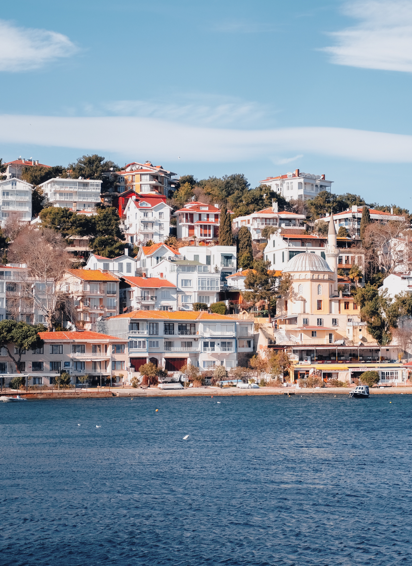 Coastal Charm of Istanbul - Paint by Numbers