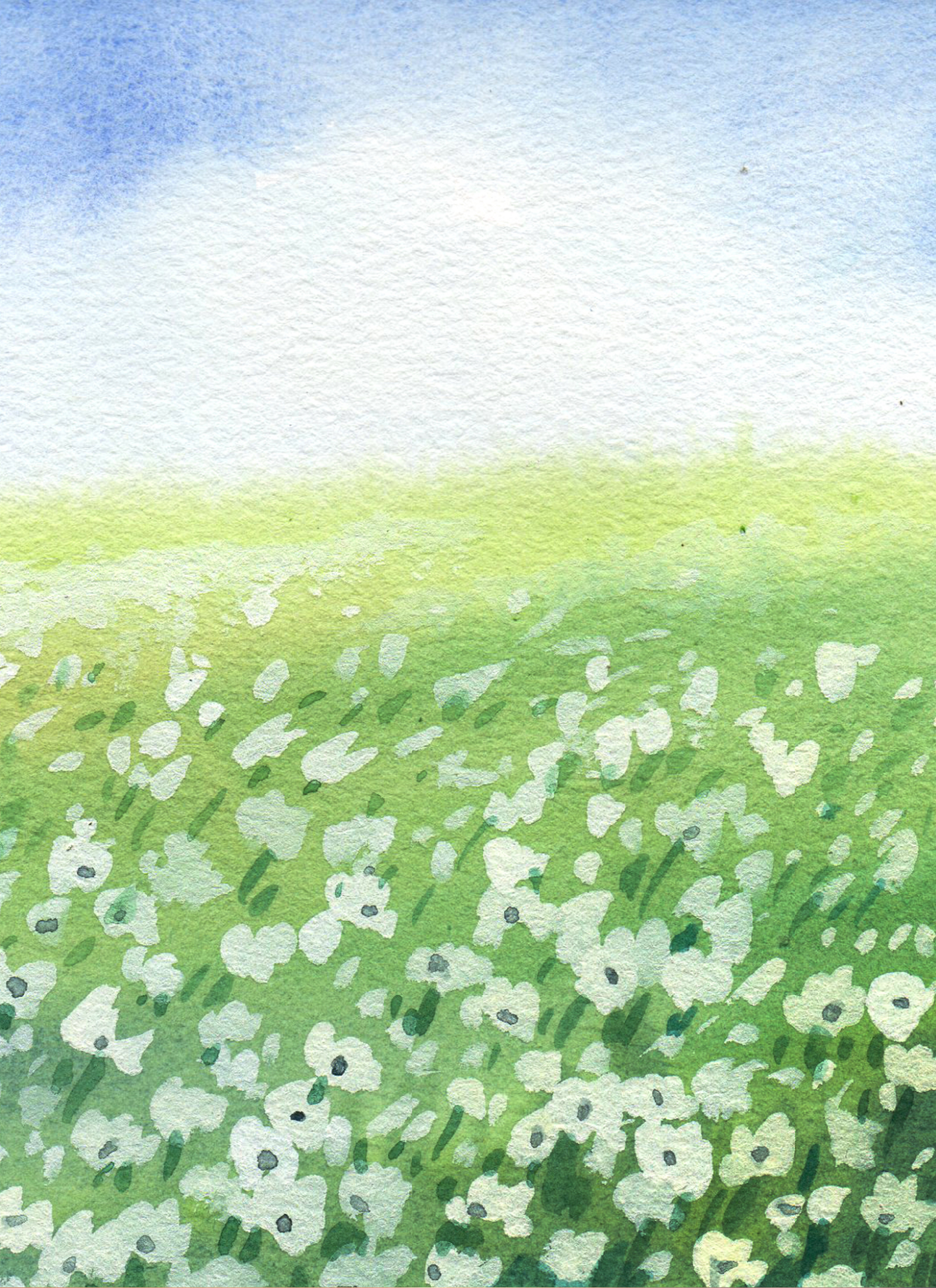 Spring Meadow Breeze - Paint by Numbers Kit