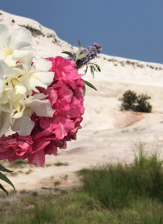 Blossoms of Pamukkale – Paint by Numbers