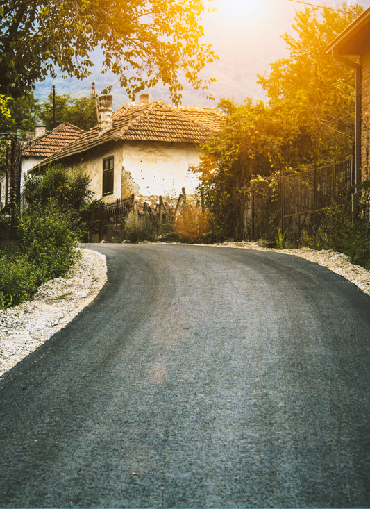 Sunlit Village Road – Paint by Numbers