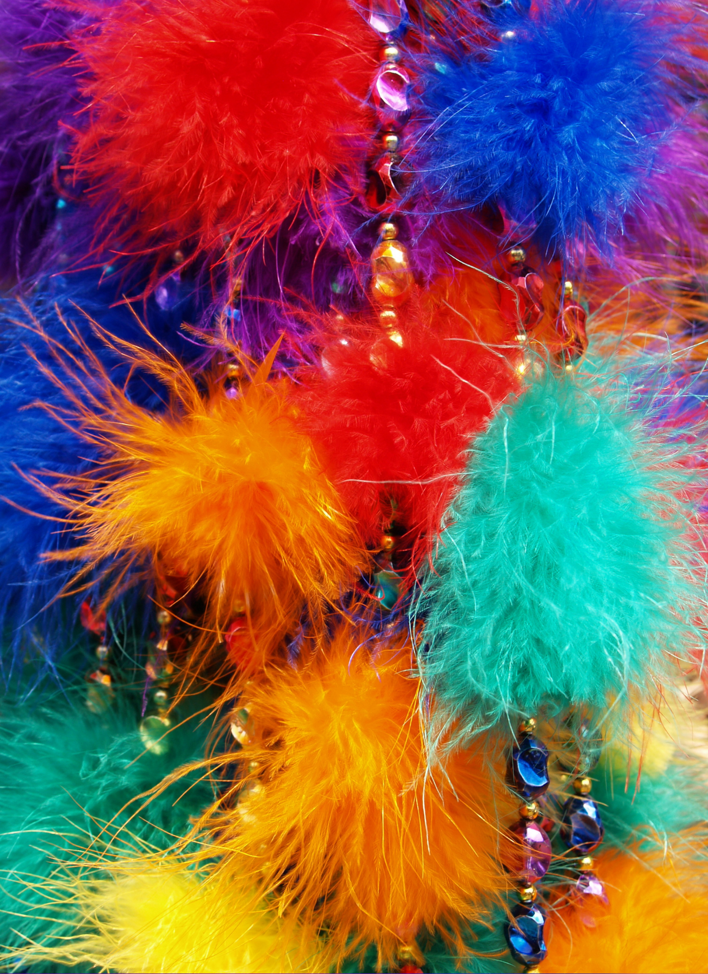 Carnival Feathers & Sparkles – Paint by Numbers Kit