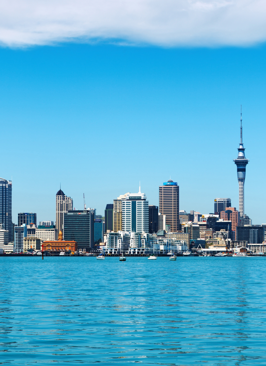 Auckland Skyline by the Harbor – Paint by Numbers Kit