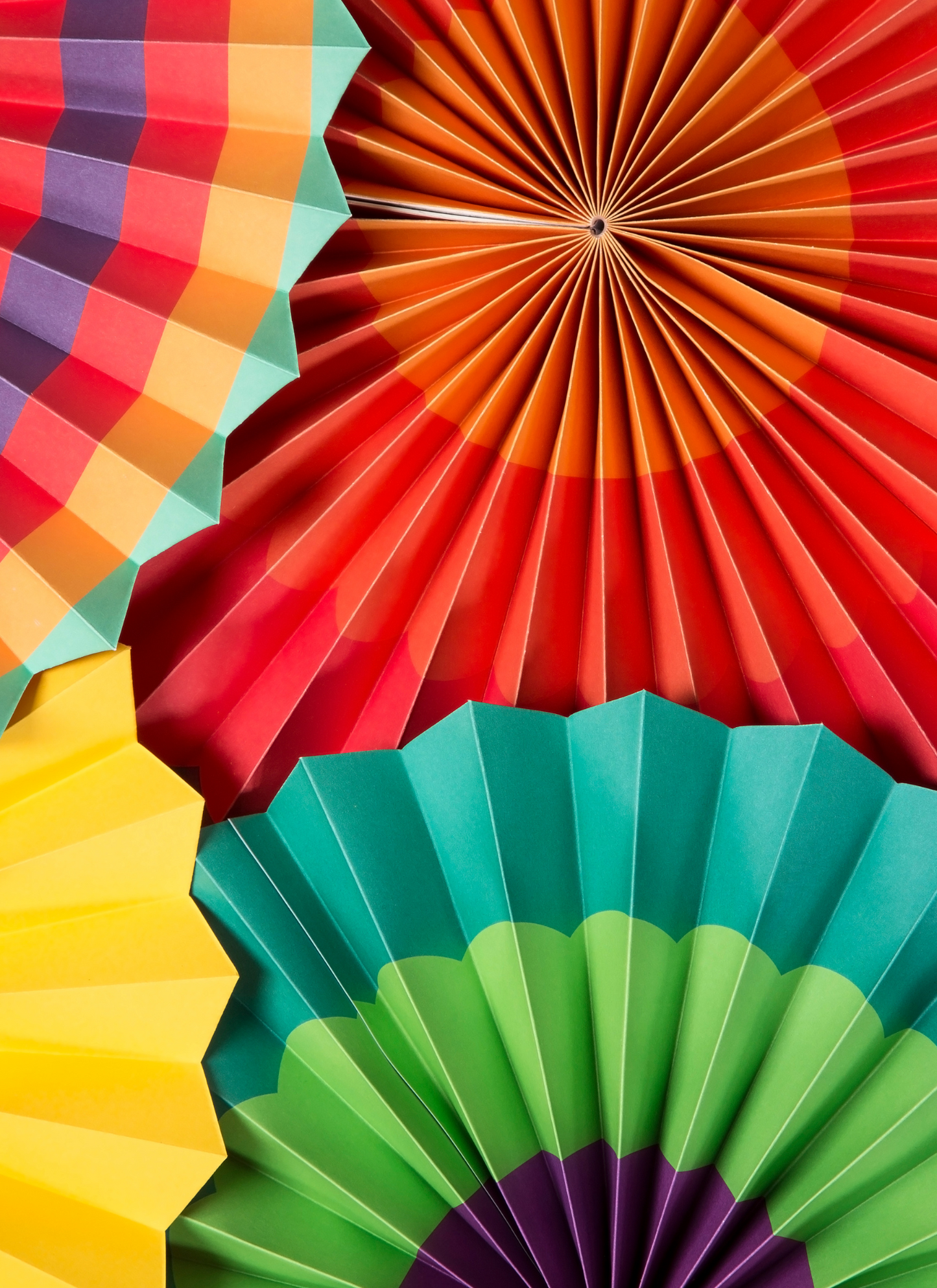 Vivid Paper Blooms - Paint by Numbers