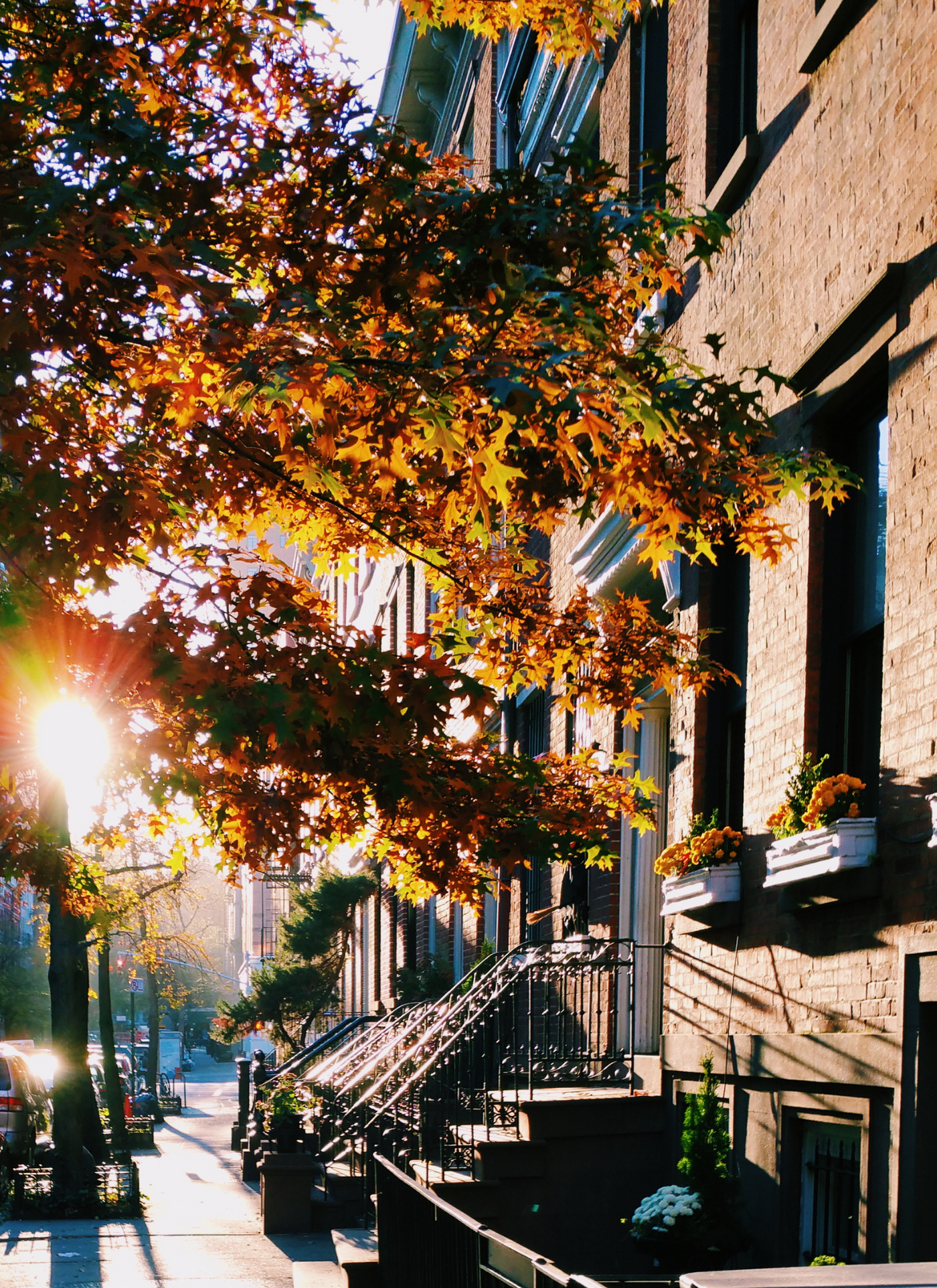 Sunlit Autumn Street – Paint by Numbers Kit