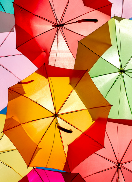 Colorful Canopy – Paint By Numbers Kit