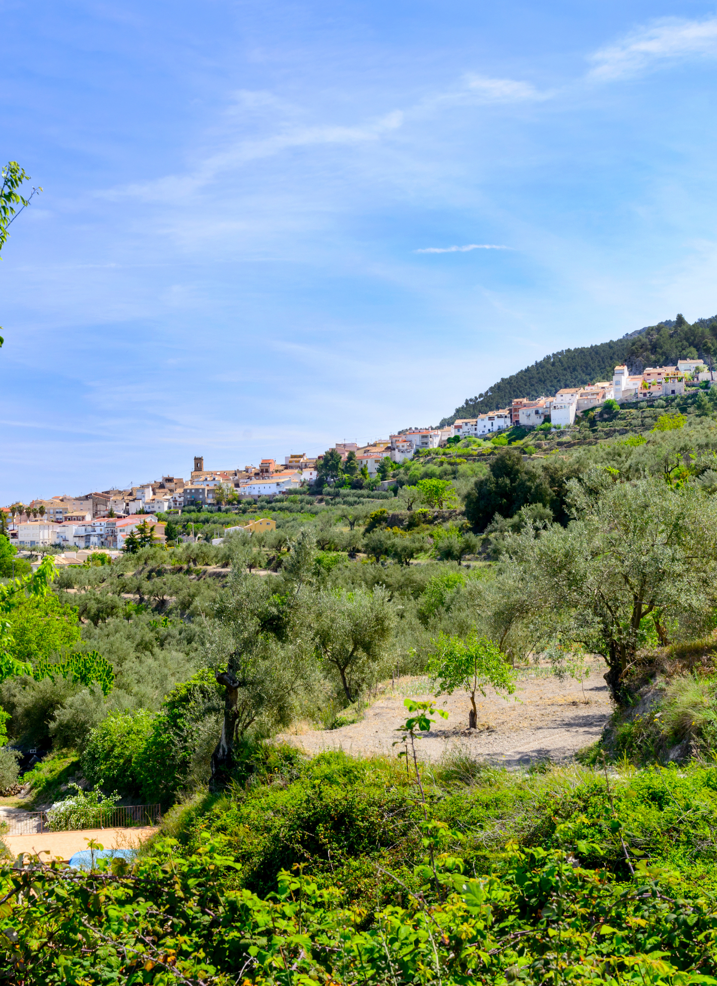 Hillside Village in Bloom - Paint by Numbers