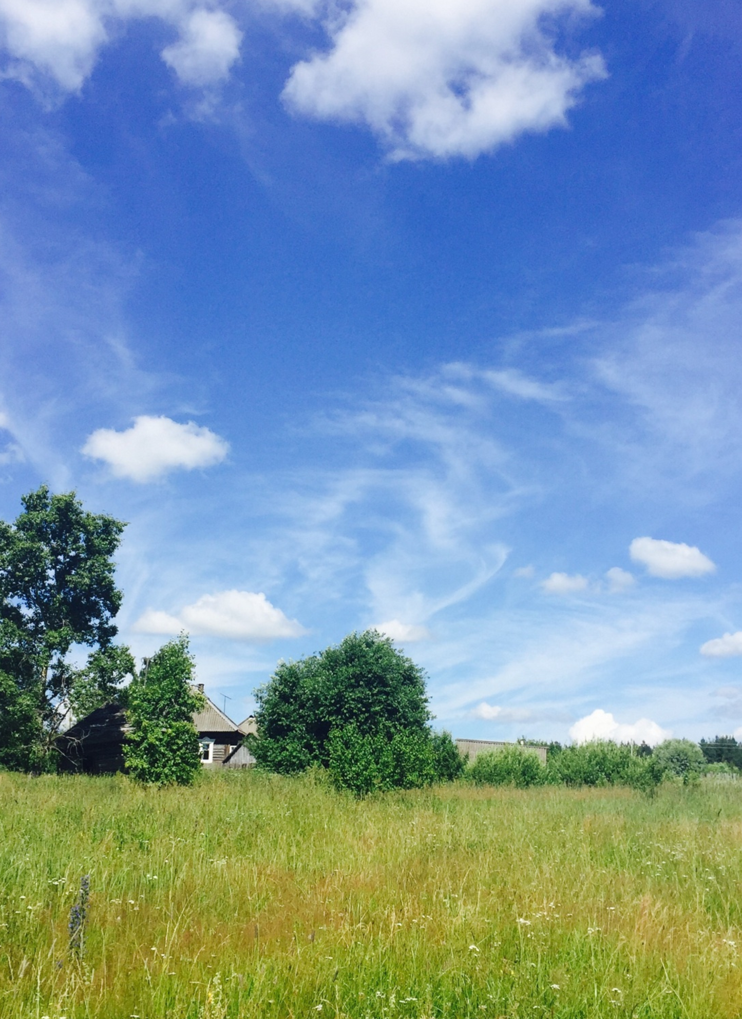 Tranquil Countryside Cottage – Paint By Numbers Kit