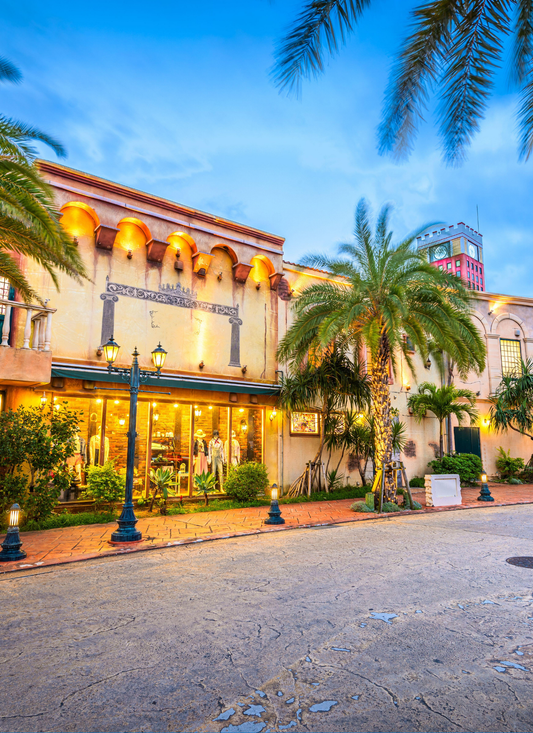 Tropical Streetscape - Paint by Numbers Kit