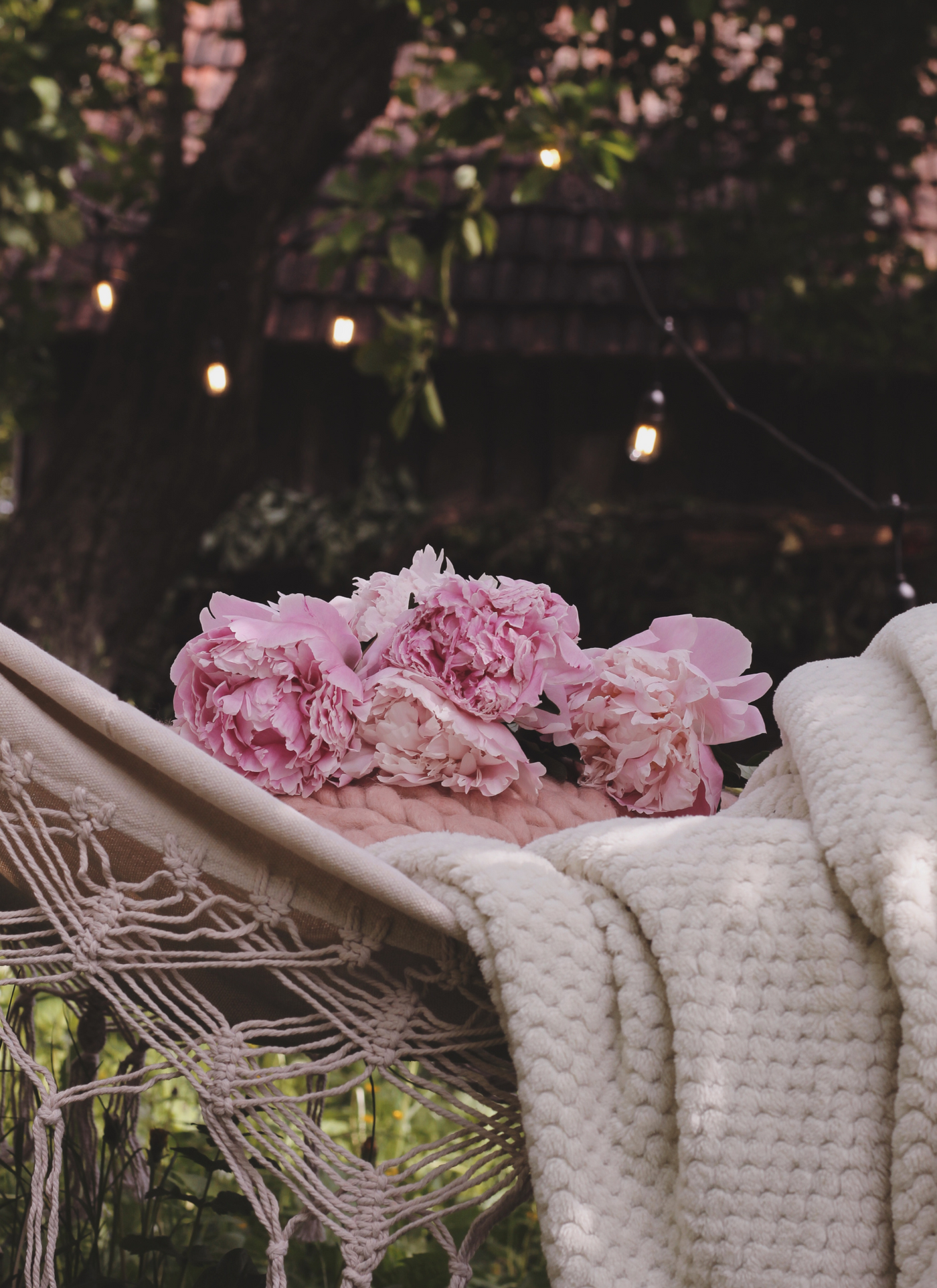 Peony Daydream - Paint By Numbers Kit