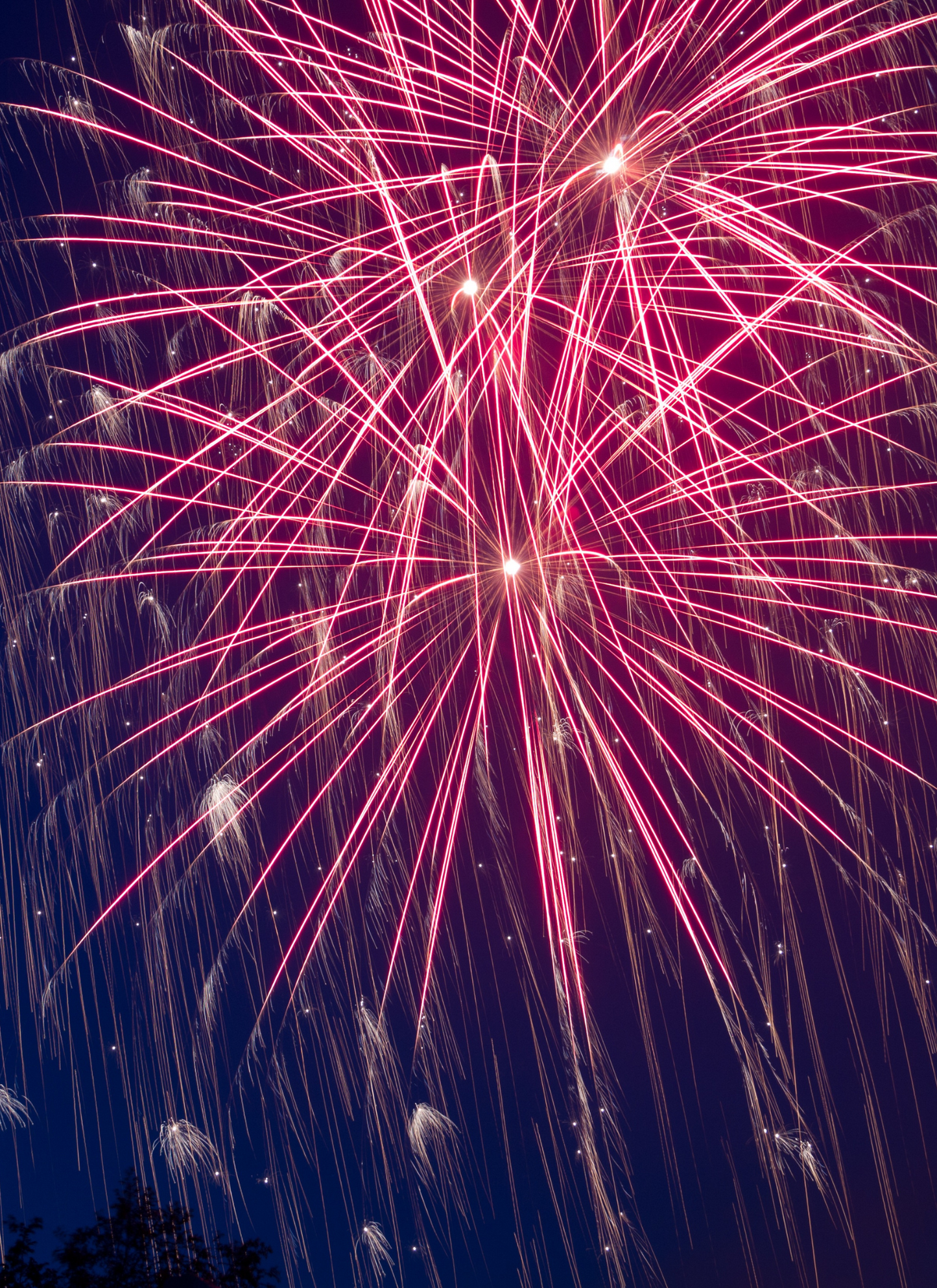 Midnight Fireworks - Paint by Numbers Kit