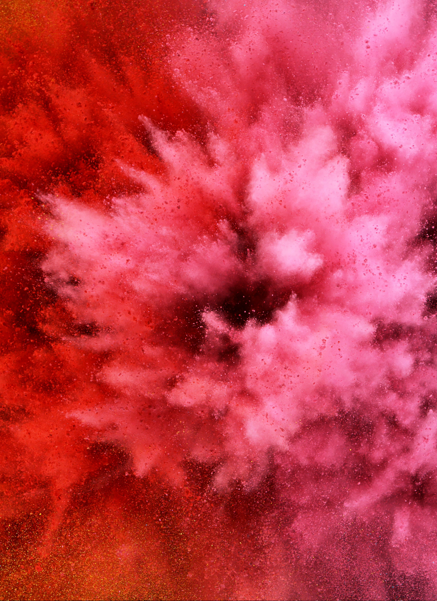 Scarlet Skyfall – Paint by Numbers Kit