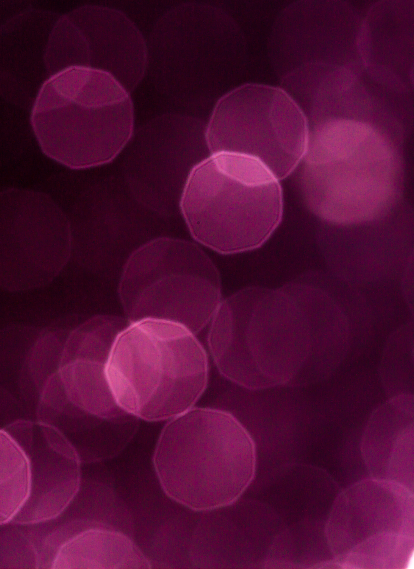Radiant Purple Glow – Paint by Numbers