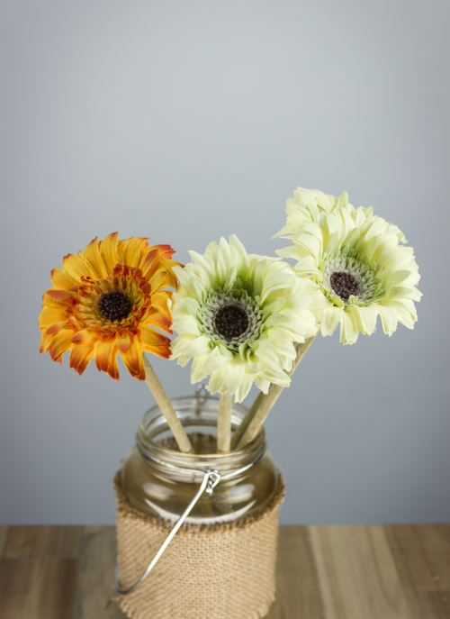 Rustic Jar with Daisies – Paint by Numbers Kit