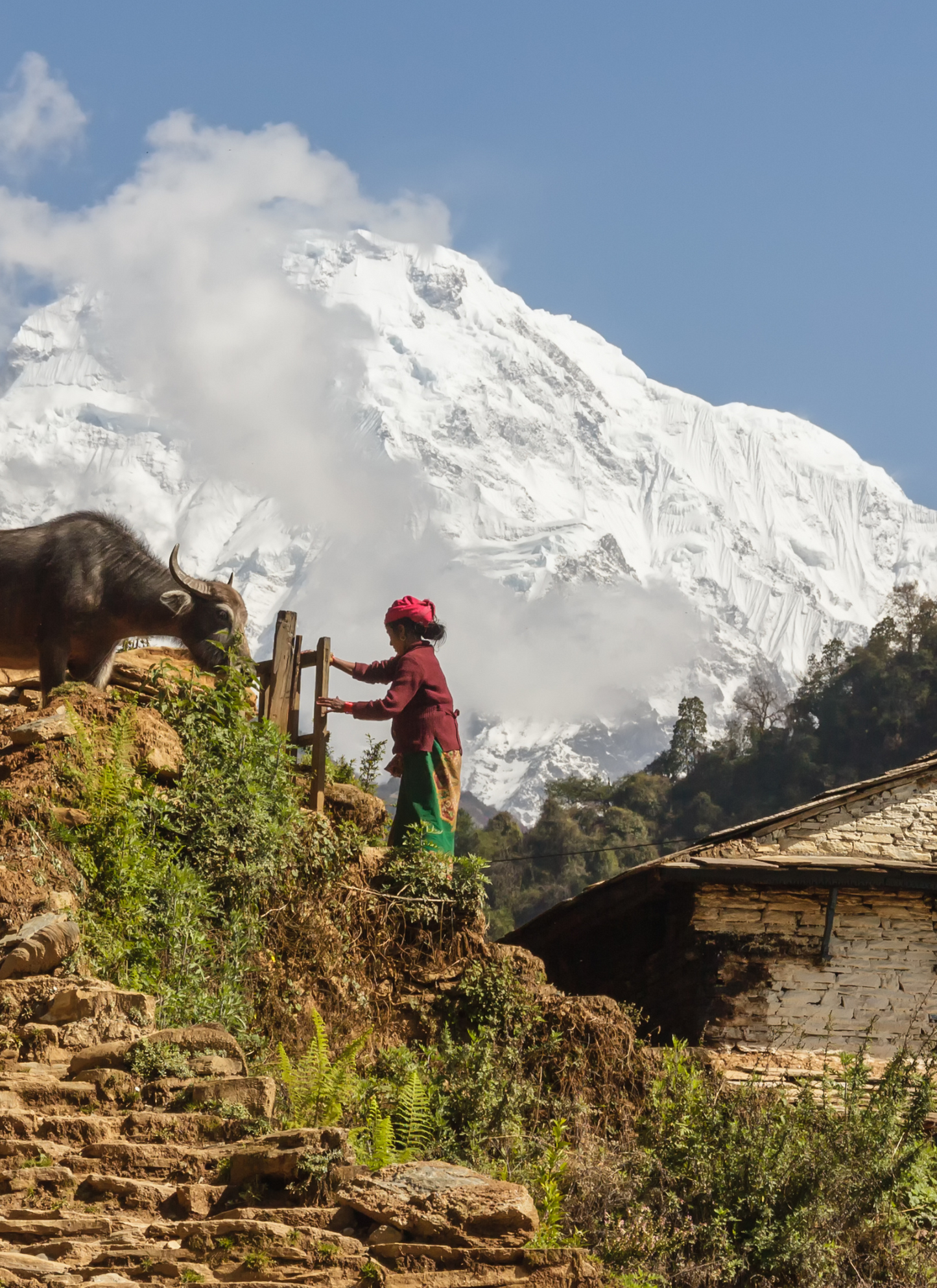 Himalayan Village Life – Paint by Numbers Kit