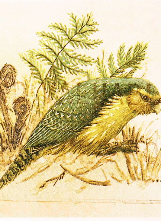Forest Feathered Friend – Paint by Numbers Kit