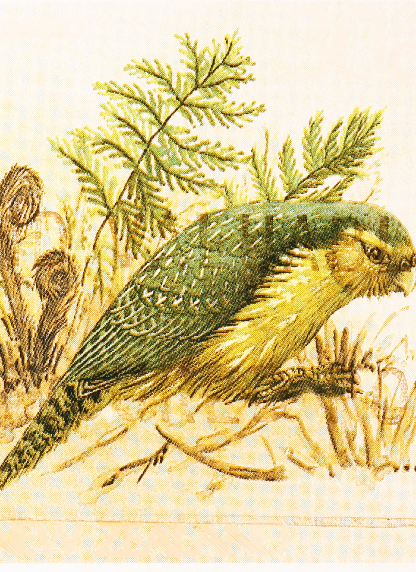 Forest Feathered Friend – Paint by Numbers Kit