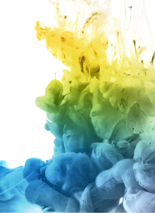 Color Bloom Fusion - Paint by Numbers Kit