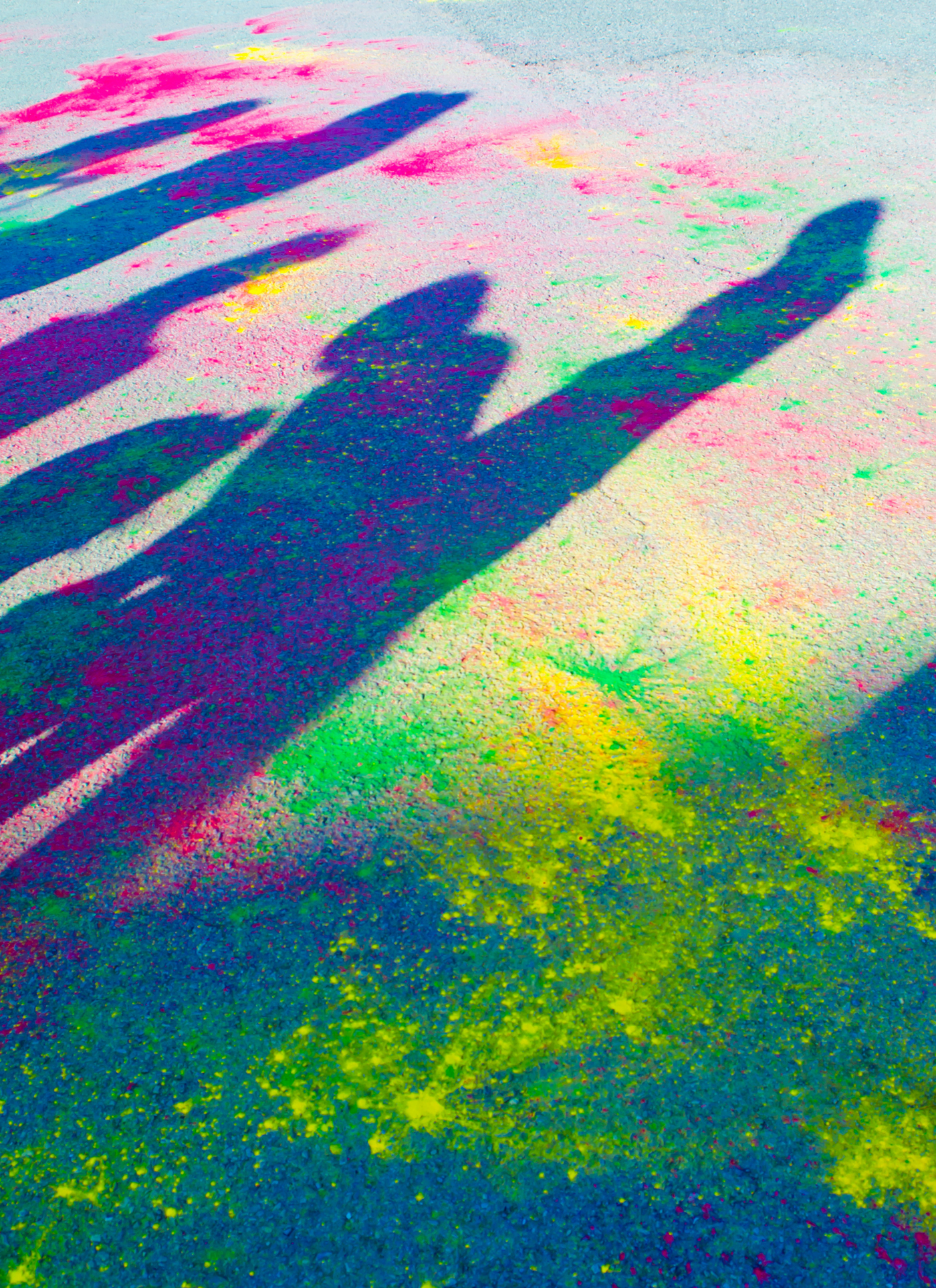 Festival of Colors Shadows – Paint by Numbers