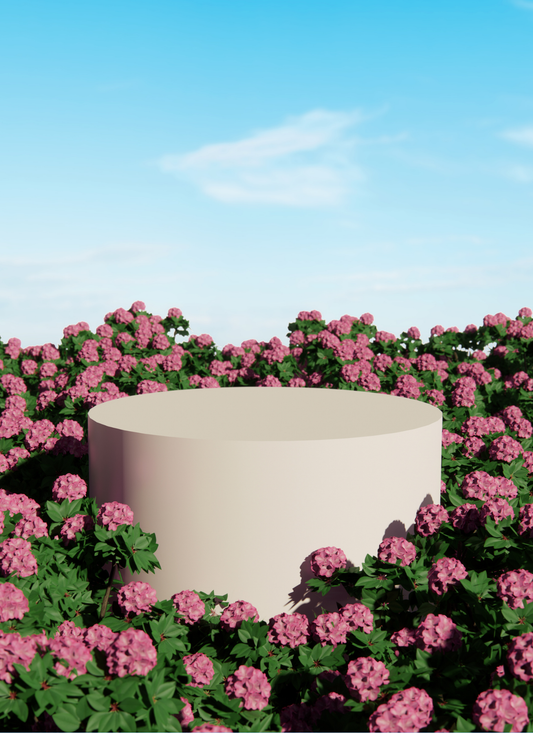 Blush Garden Bloom – Paint by Numbers Kit
