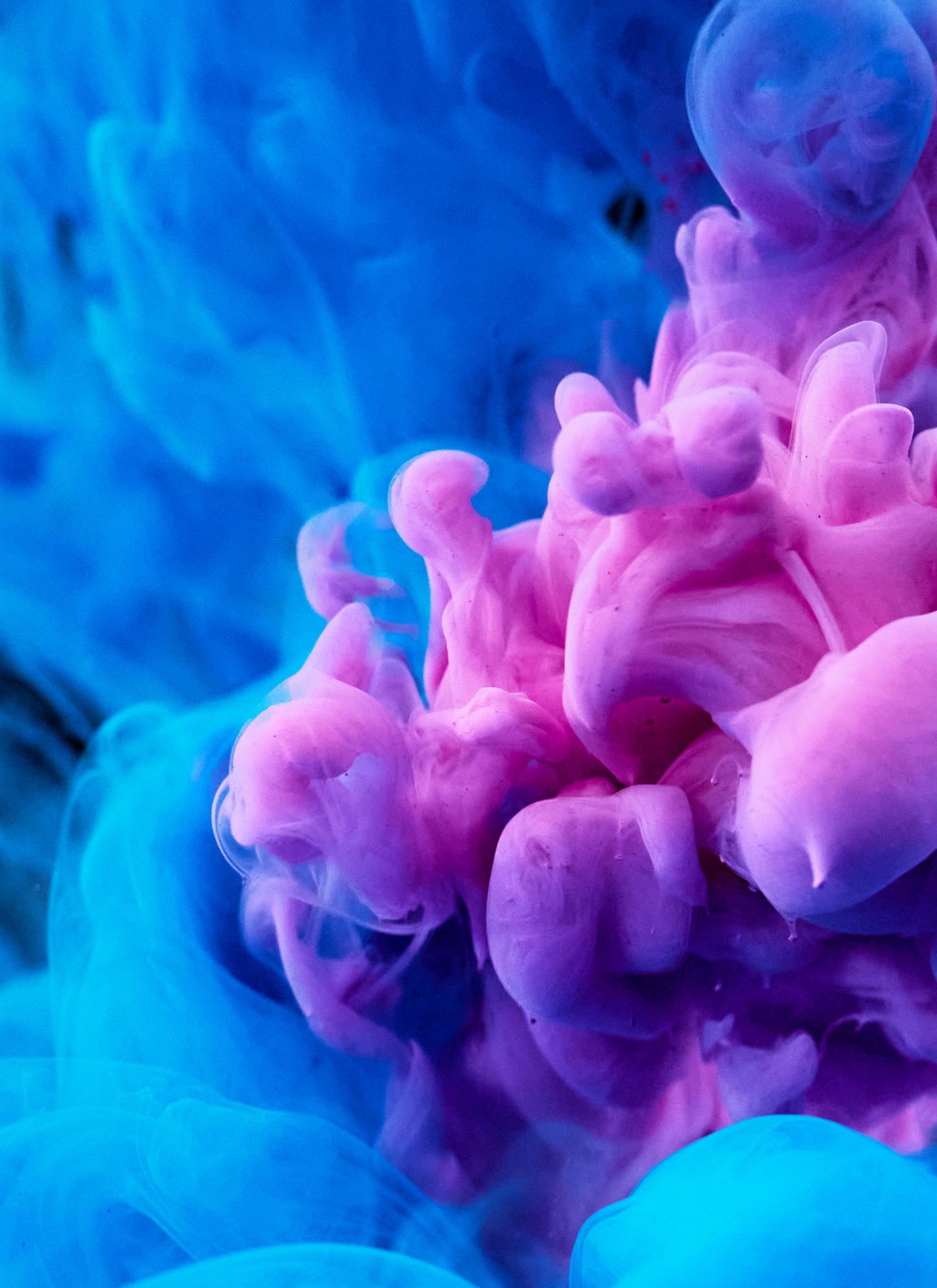 Dreamy Ink Dance – Paint by Numbers Kit