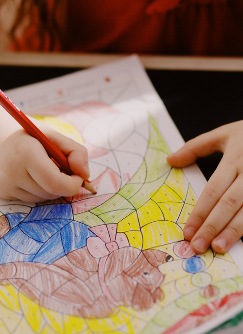 Fun Animal Adventure – Kids' Paint by Numbers Kit