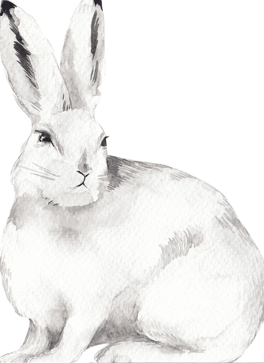 Monochrome Bunny – Paint by Numbers Kit