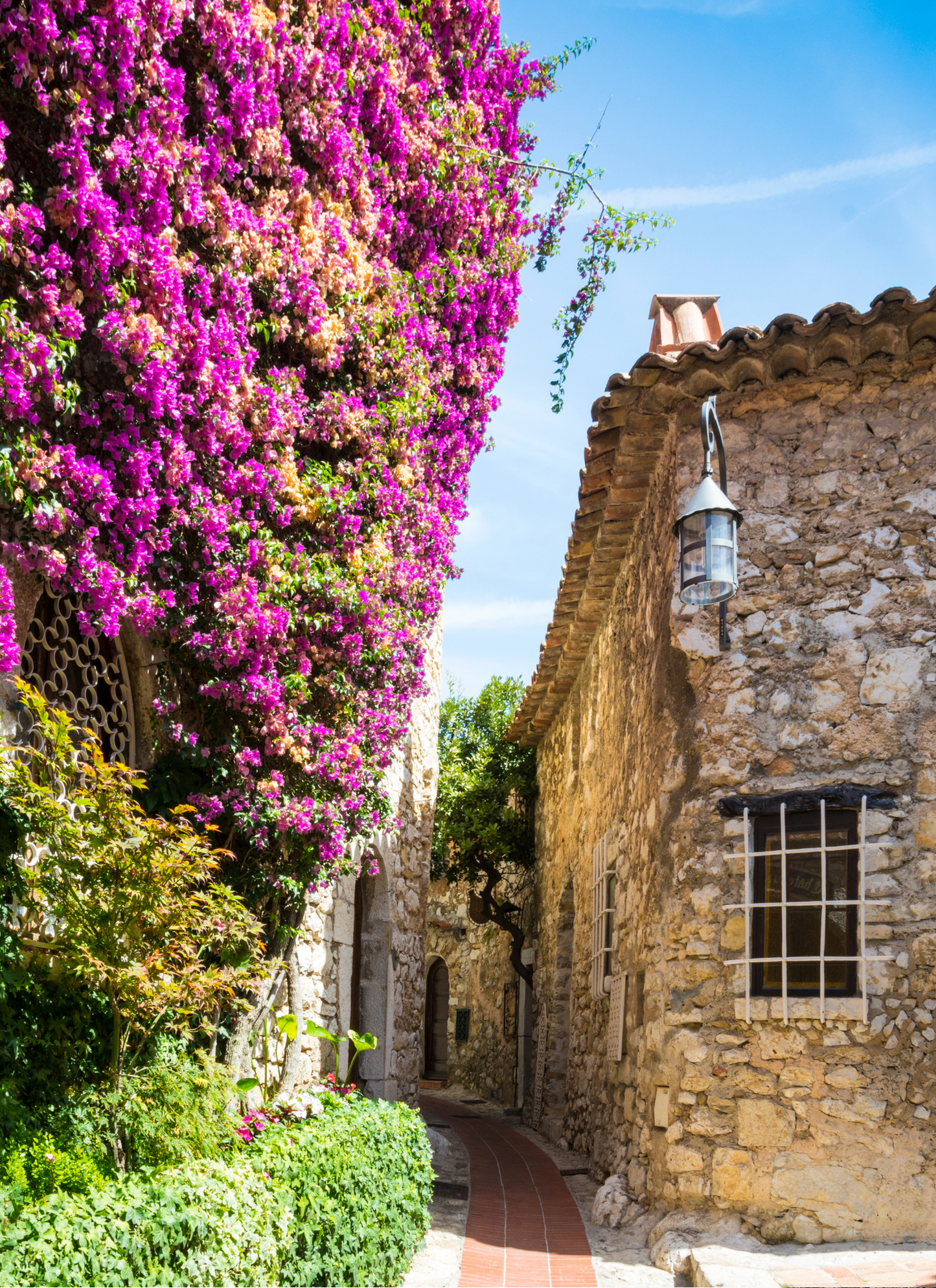 Bougainvillea Lane – Provence Stone Village