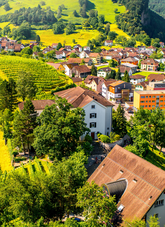 Charming Village in the Hills - Paint by Numbers