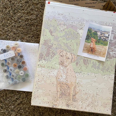 Paint By Numbers BOGO