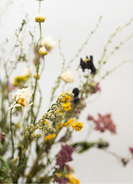 Wildflower Bouquet - Paint by Numbers Kit