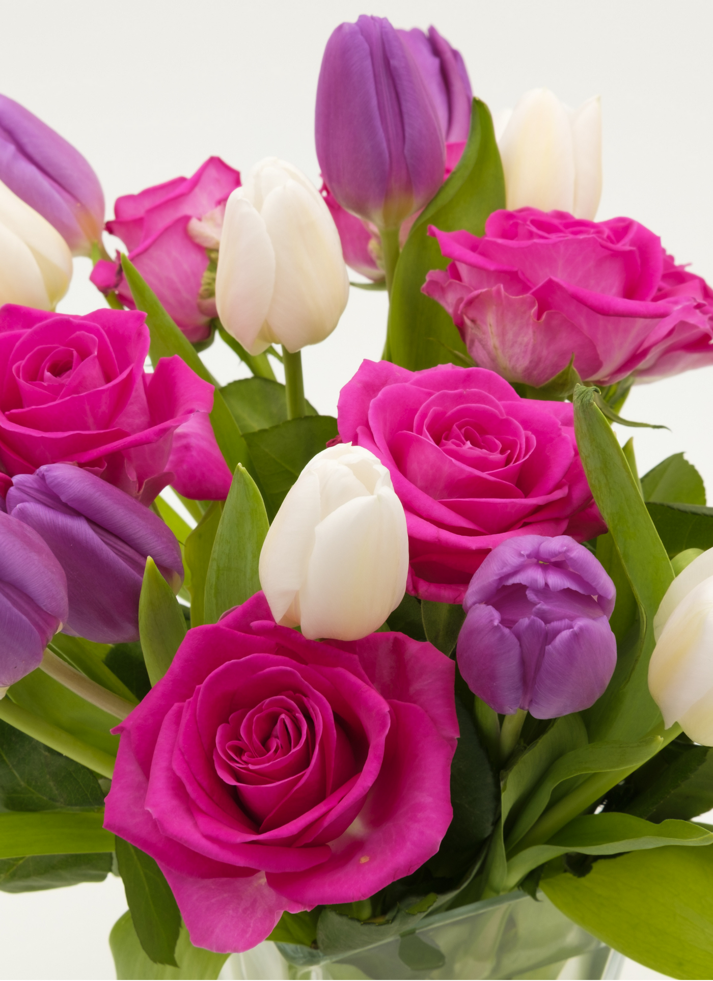 Vibrant Roses & Tulips – Paint by Numbers Kit
