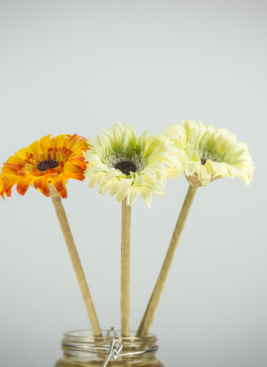 Sunlit Trio – Paint by Numbers Kit