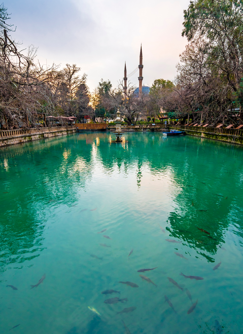 Sacred Waters of Şanlıurfa – Paint by Numbers Kit