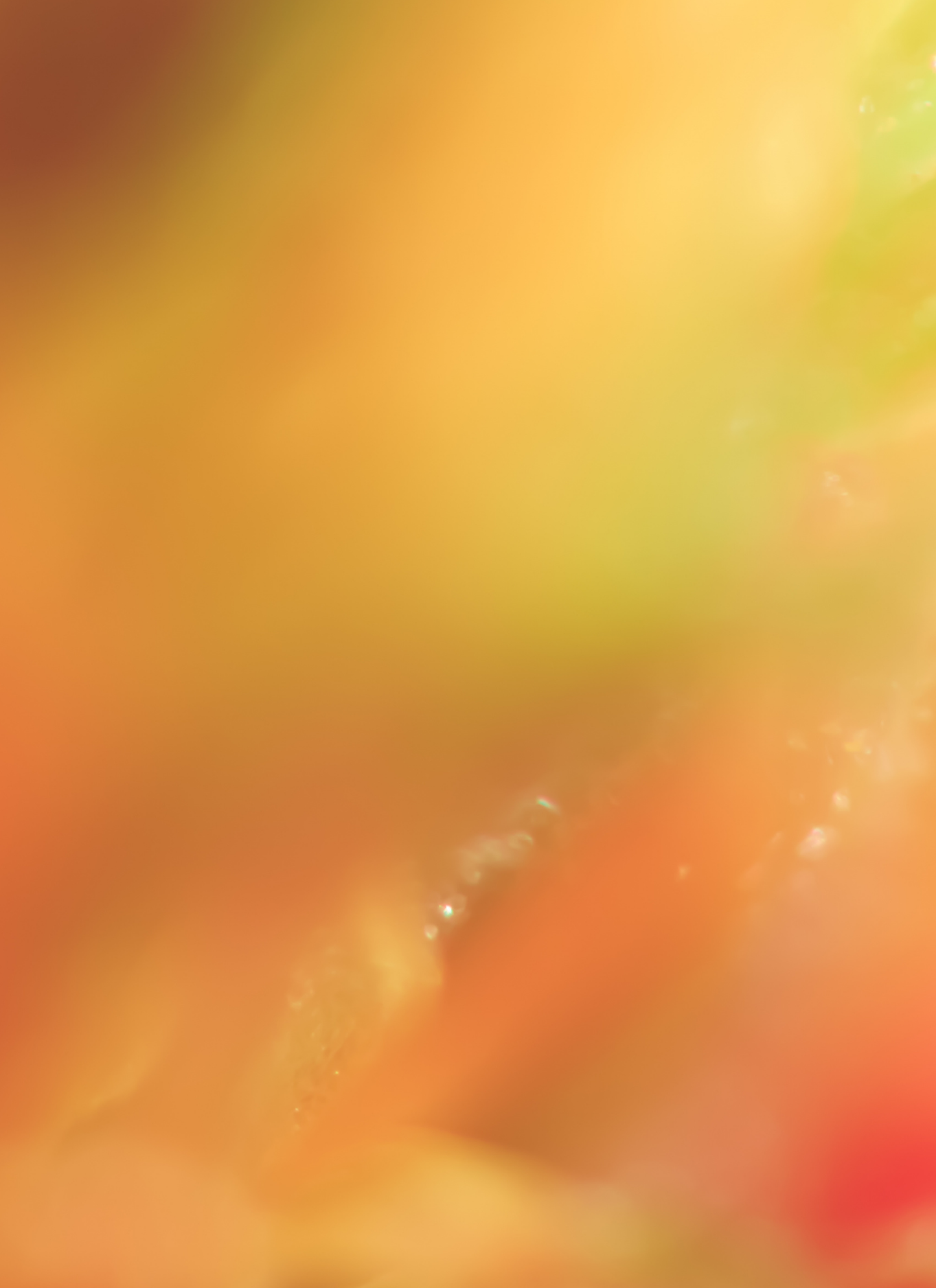 Tropical Haze – Paint by Numbers Kit