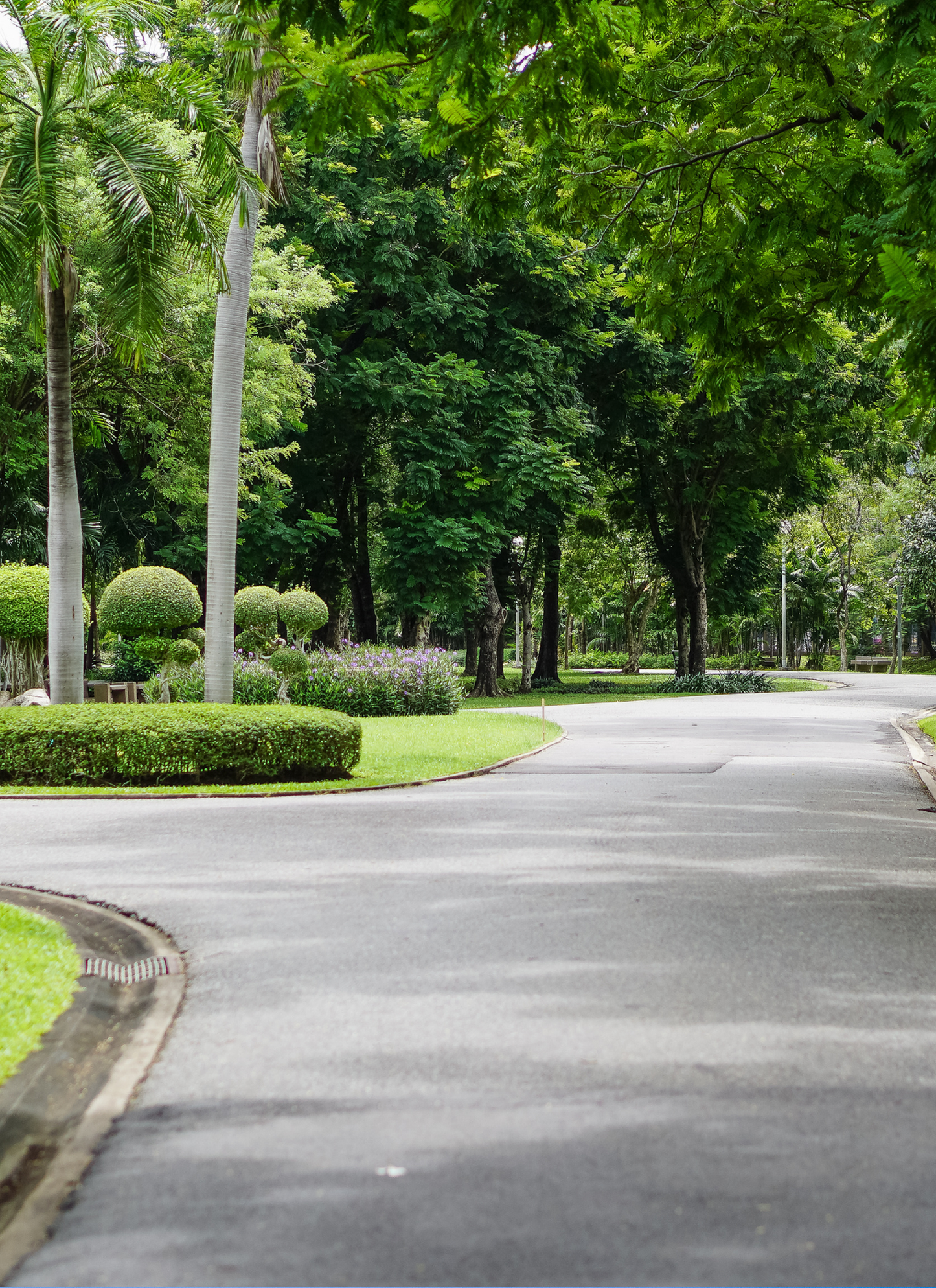 Tranquil Garden Path – Paint by Numbers