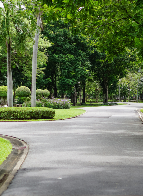 Tranquil Garden Path – Paint by Numbers