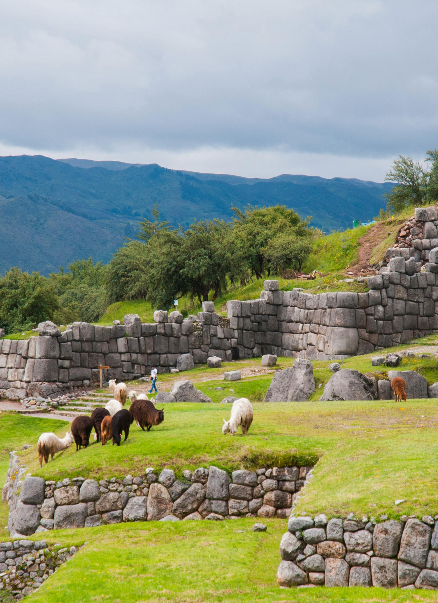 Grazing Llamas in the Andes – Paint by Numbers Kit