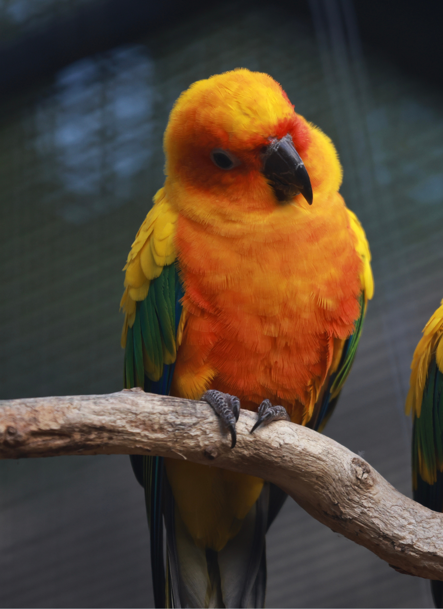 Tropical Whispers – Paint by Numbers Kit