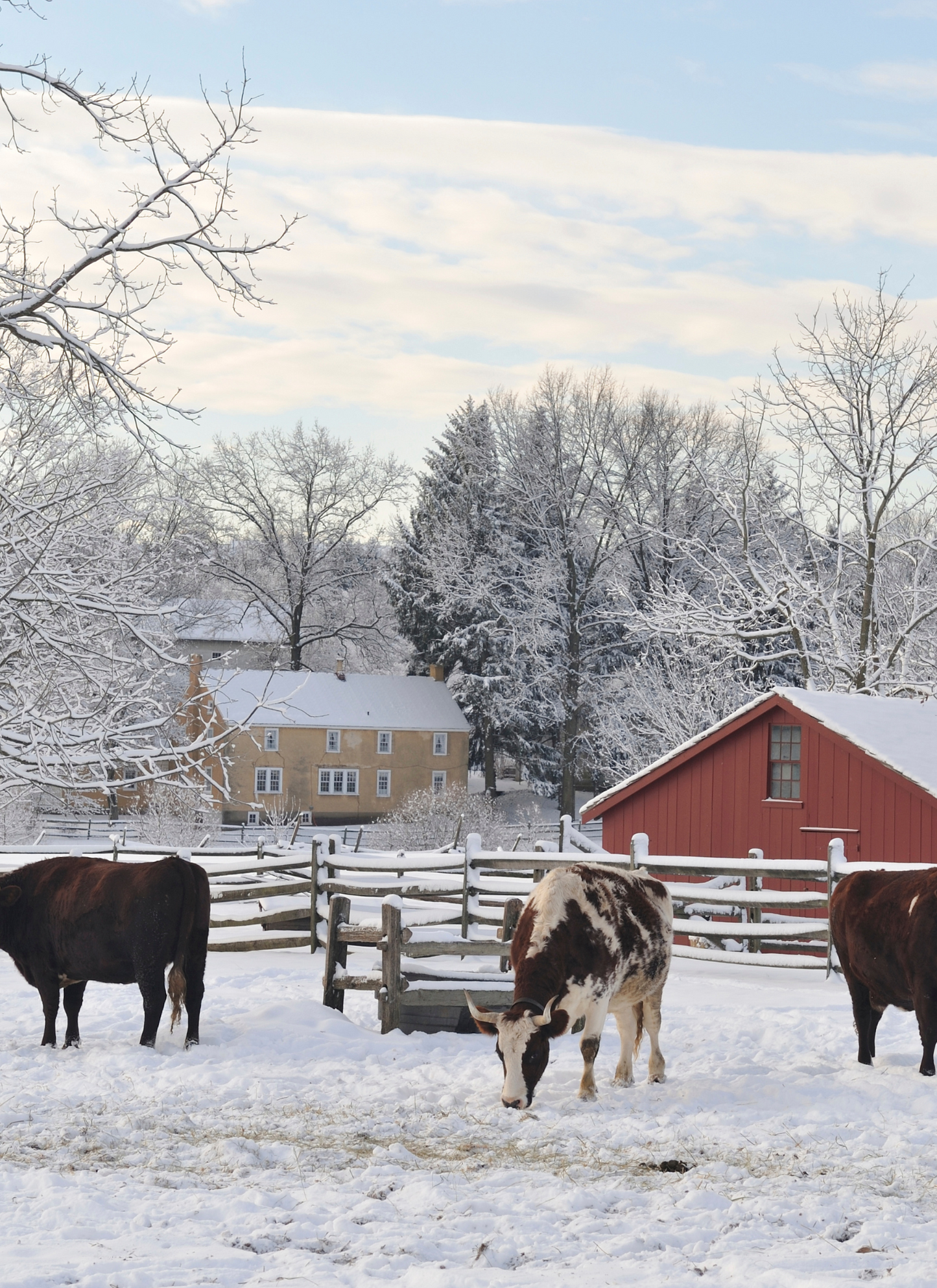 Winter Morning on the Farm – Paint by Numbers Kit