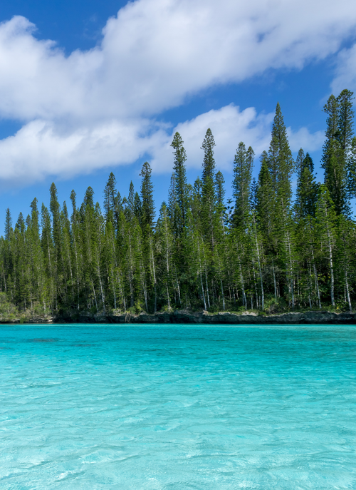 Turquoise Lagoon & Pine Grove – Paint by Numbers Kit