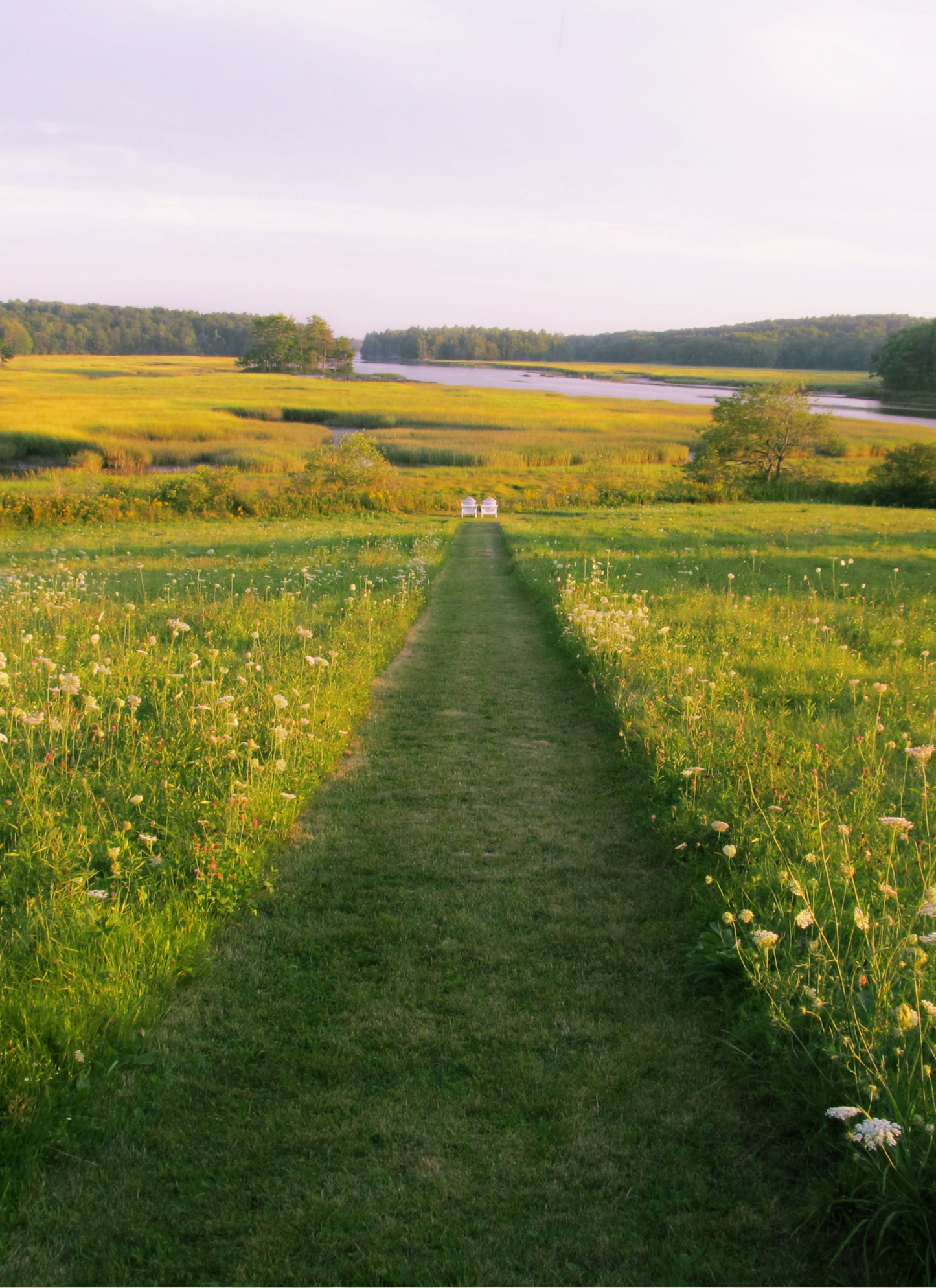 Meadow Pathway Serenity - Paint By Numbers Kit