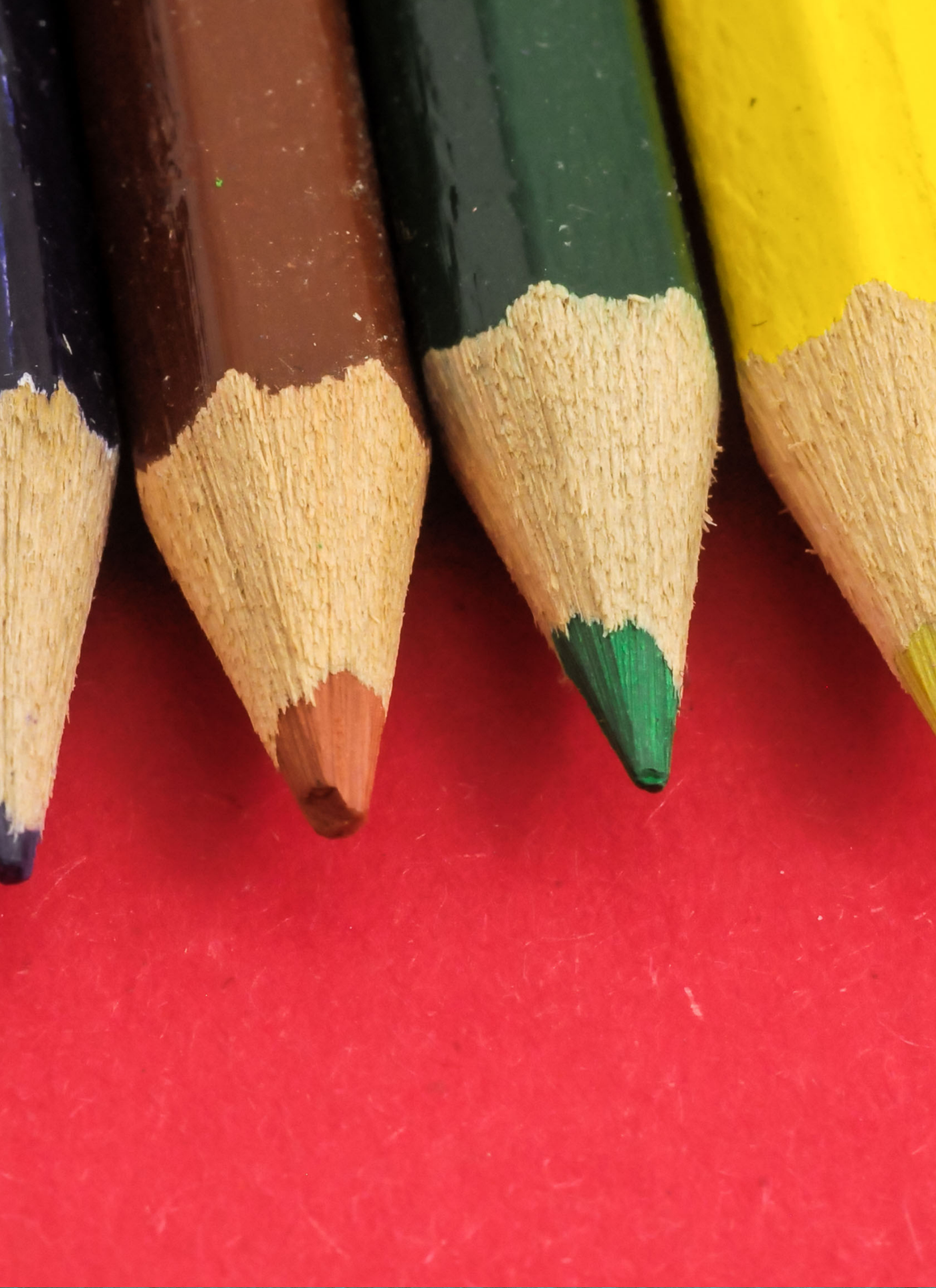 Vibrant Color Pencils – Paint by Numbers Kit
