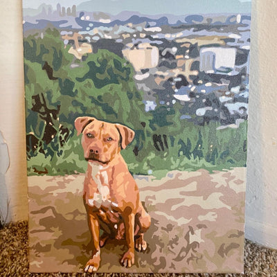 Paint By Numbers BOGO